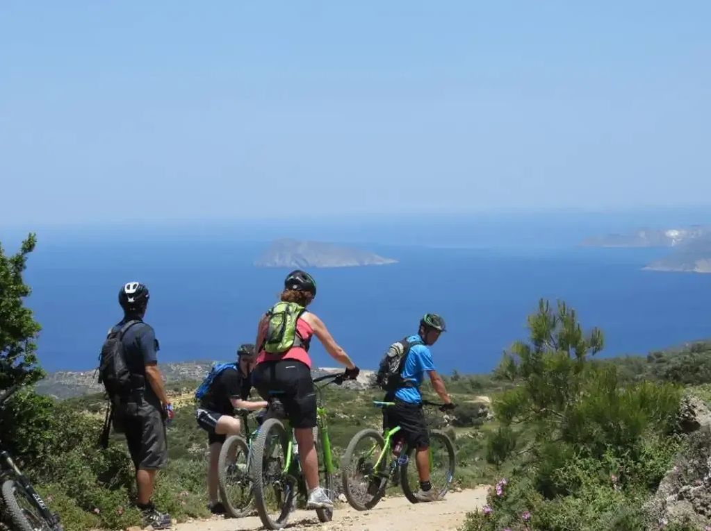 Cactus Hotels Bike Rentals Tours 6