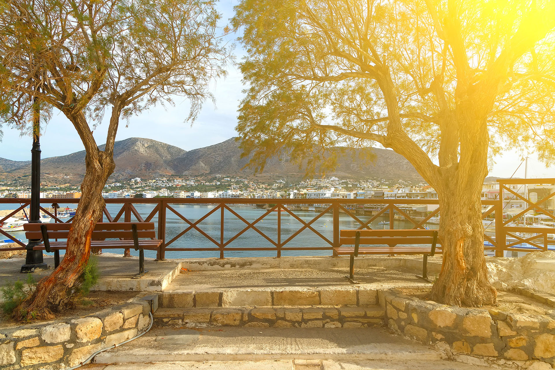Benches overlooking the sea and two trees providing shade